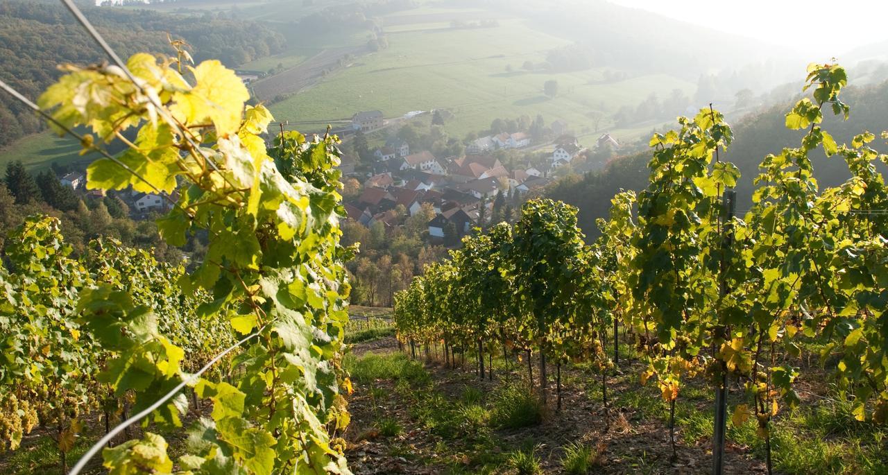 Weingut Hees - Landgasthof Zum Jaeger Aus Kurpfalz Auen Екстер'єр фото