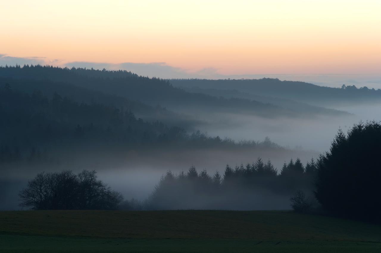 Weingut Hees - Landgasthof Zum Jaeger Aus Kurpfalz Auen Екстер'єр фото