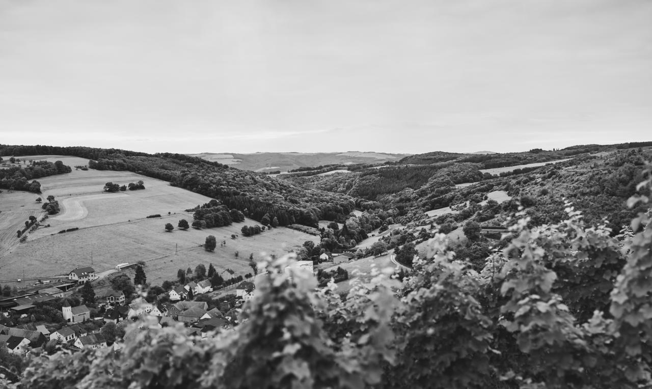 Weingut Hees - Landgasthof Zum Jaeger Aus Kurpfalz Auen Екстер'єр фото